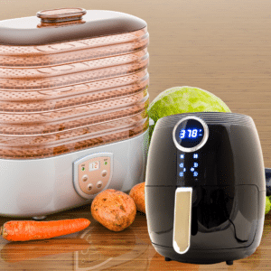 food dehydrator and air fryer
