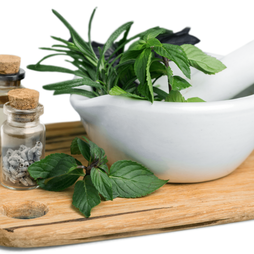 herbs in a mortal and pestal
