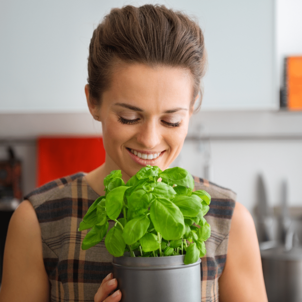 Smiling woman looking at a Basil plant